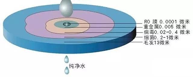 Ҭ̿aSҞȫB͸ȲYԭ