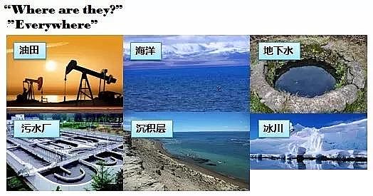 wSVϏS҅ȫİlչ