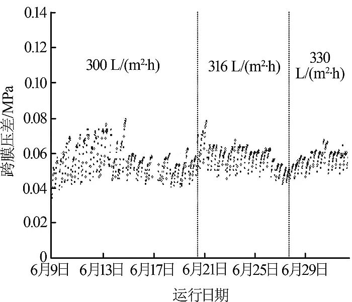 ϡɰVϏSմɳVĤ늏SW(xu)ˮ̎ϵy(tng)еđ(yng)