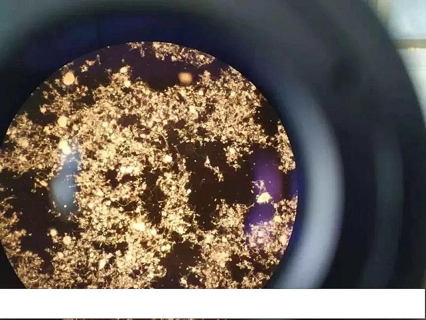 2020ۺȻFPAFCaSϵyӰ