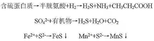 Դˮ̎ˎYȻXaSҳкڳˮwȾFurgc