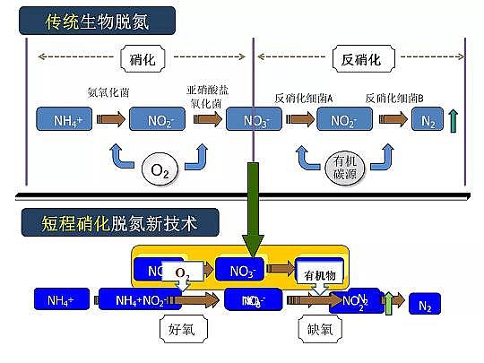 2020wׄSˮÓоMչ