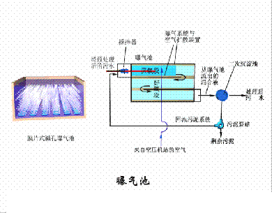 dFV3-5mmSˮ̎38ˇOӑBD