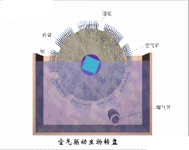 dFV3-5mmSˮ̎38ˇOӑBD