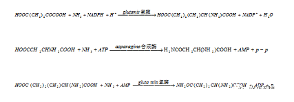 ЧxӽQ(sh)֬Sȫ|A2/OؼMBRBBRˇxԔ(x)!