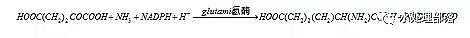 ЧxӽQ(sh)֬Sȫ|A2/OؼMBRBBRˇxԔ(x)!