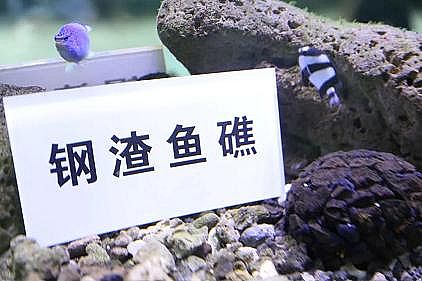 5AӺYSҡFSUˮŷţB(yng)~