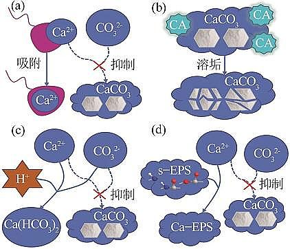 2022蹸ѭh(hun)sˮ΢{(dio)(ji)ˮ|(zh)C(j)оM(jn)չ