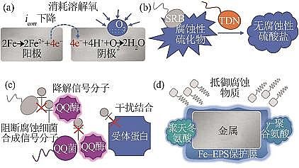 2022蹸ѭh(hun)sˮ΢{(dio)(ji)ˮ|(zh)C(j)оM(jn)չ