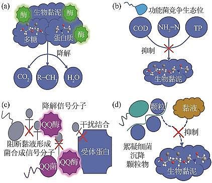 2022蹸ѭh(hun)sˮ΢{(dio)(ji)ˮ|(zh)C(j)оM(jn)չ