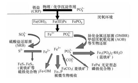 2022ꃞ(yu)|(zh)ˮ̎a(chn)S(chng)ҏˮл